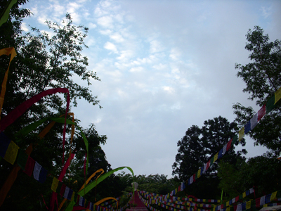 20080525-06.jpg